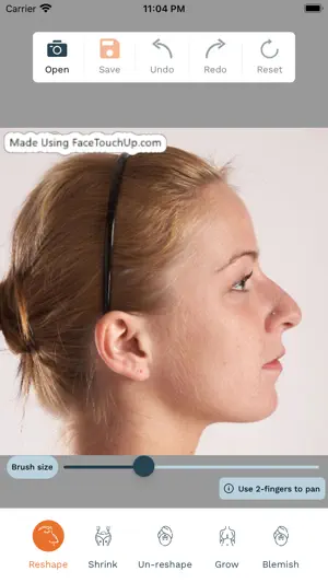 FaceTouchUp Nose Job Simulator